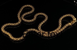A GOLD NECKLACE