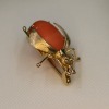 A CORAL BEETLE BROOCH - 3